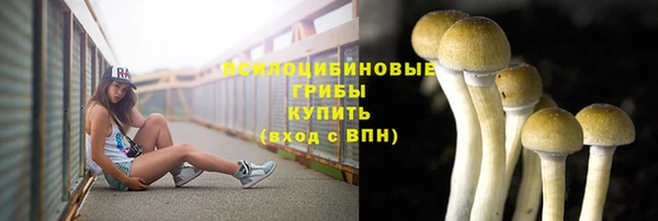 спиды Нефтегорск