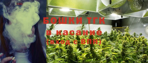 мет Нея